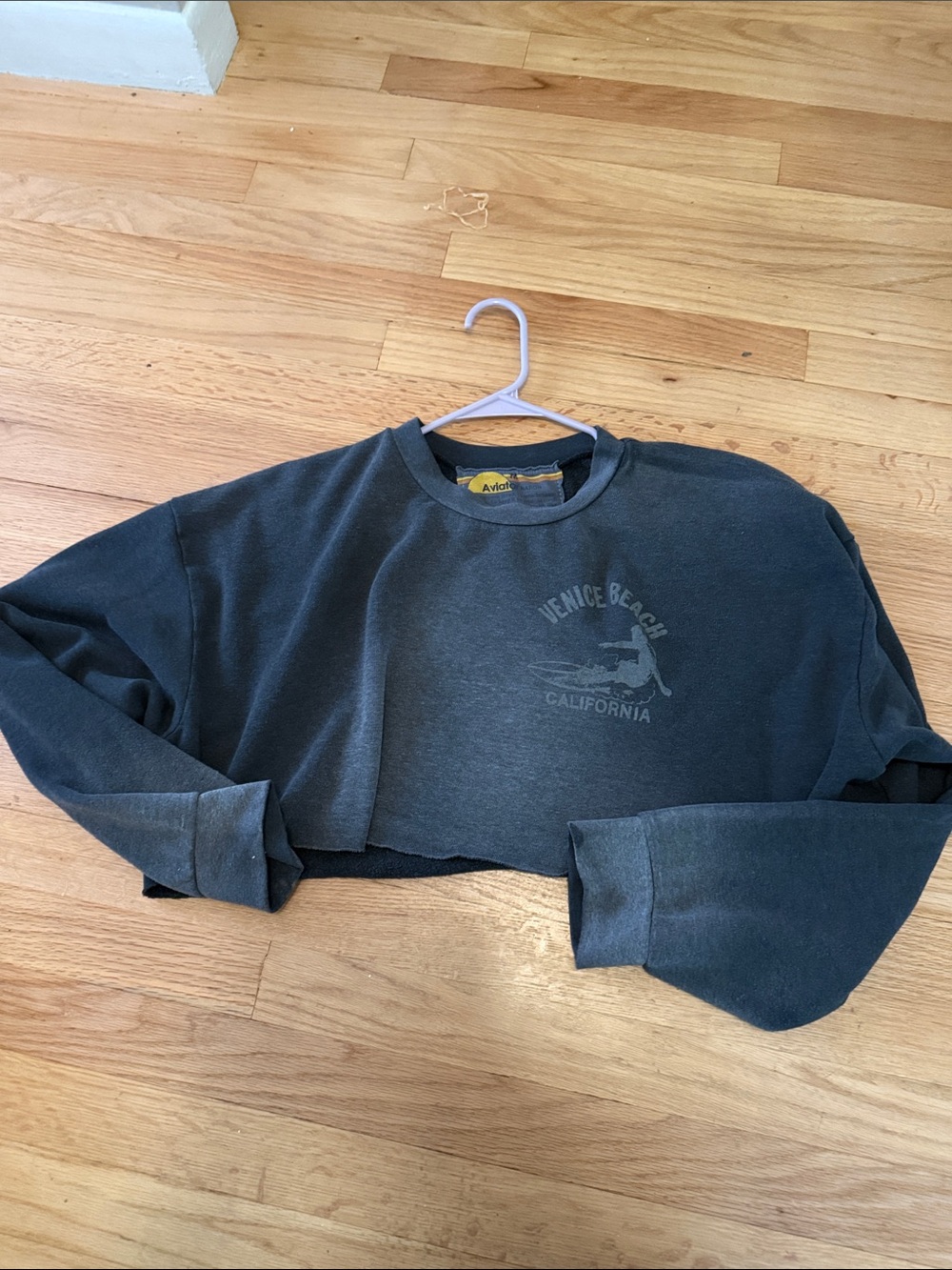 Aviator nation Cropped Sweatshirt - Venice Beach Graphic